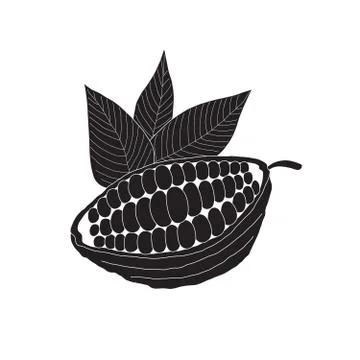 The cacao pod Stock Illustration