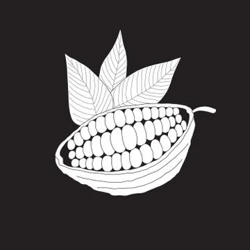 The cacao pod Stock Illustration