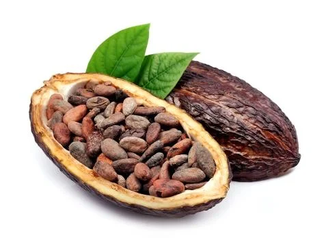 Cacao pod Stock Photos