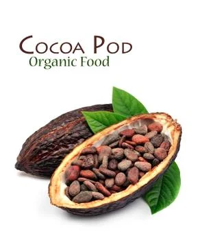 Cacao pod . Foto stock