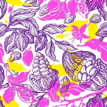 Cacao seamless pattern. Tropical background, color jungle. Vector nature art  Stock Illustration