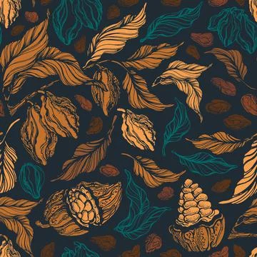 Cacao seamless pattern. Vector hand drawn botanical branch, bean, tropical fr Stock-Illustration