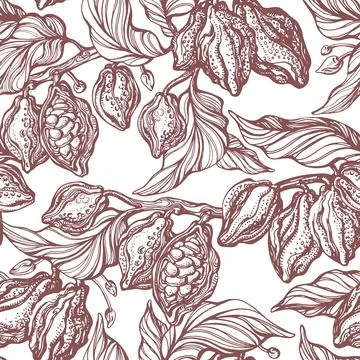 Cacao seamless pattern. Vector hand drawn botanical branch, bean, tropical fr Stock Illustration