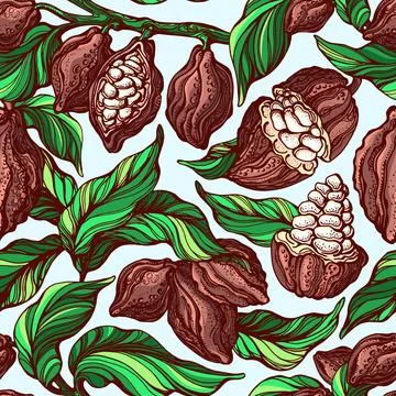 Cacao seamless pattern. Vector hand drawn botanical branch, bean, tropical fr Stock Illustration