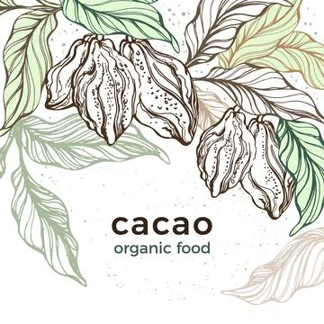 Cacao template. Vector nature background. Art hand drawn botanical tree, bean Stock-Illustration