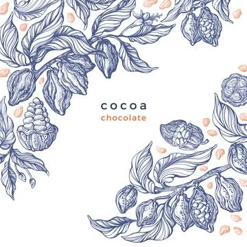 Cacao texture plant. Vector graphic bean. Bio food Illustrazione stock