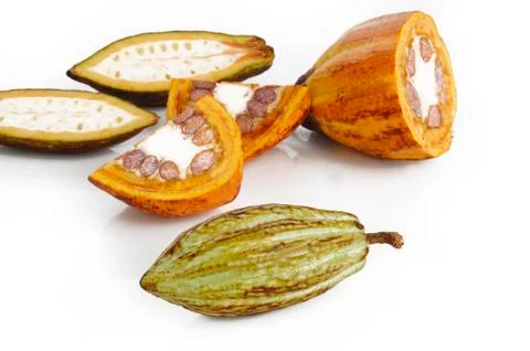 Cacao on white Stock Photos
