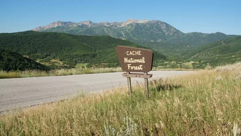 Cache National Forest sign Video stock 83467019