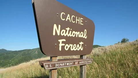 Cache National Forest sign zoom Stock-Footage 83467014