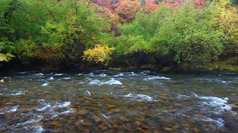 Cache River Utah Fall Scenery Stock-Footage 23066872