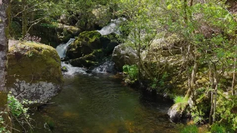 Cachón Waterfall By The Vaos River In A Teixeira Stock-Footage 336365413