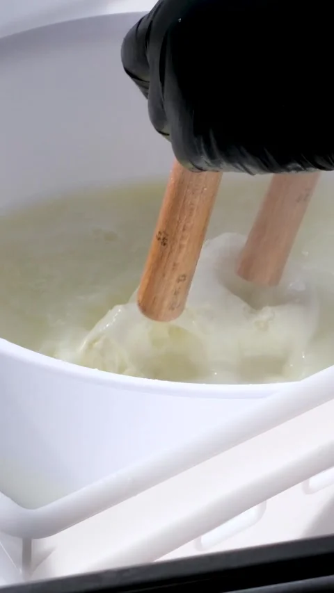 Caciocavallo kachakovala cheese preparation process female hands in black latex Video stock 275293559