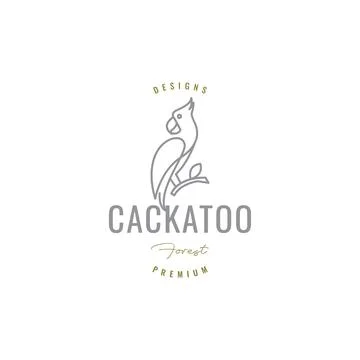 Cackatoo with branch logo design vector Stock Illustration
