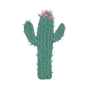 Cacti flower isolated on white background. Cactus in doodle style. Cute prick Stock Illustration