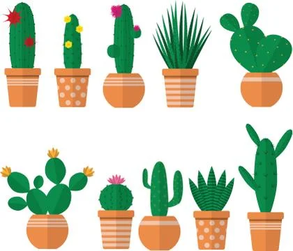 .Cacti plants in a pot, vector image Stock Illustration