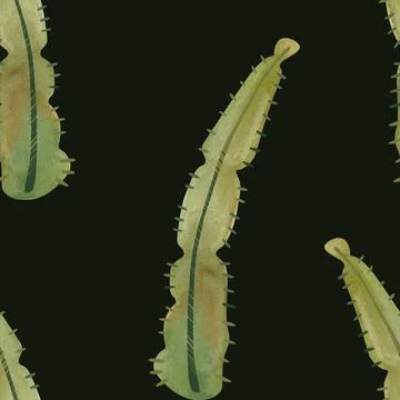 Cacti. Seamless watercolor pattern for wrapping paper, wallpaper and textiles. Stock Illustration