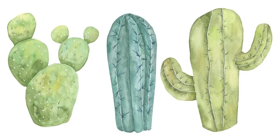 Cacti set of design elements in watercolor Stock Illustration