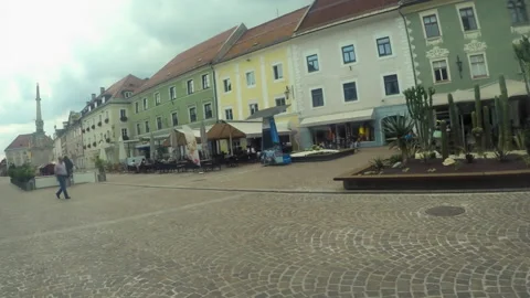 Cacti in St. Veit an der Glan, Austria, square Video stock 166904954