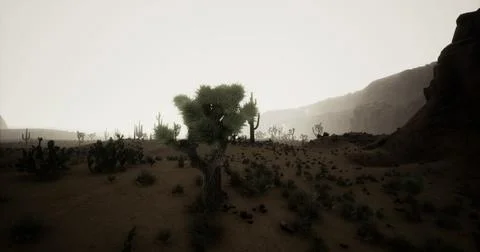 Cacti thrive under muted light in a vast desert landscape during twilight Stock Illustration