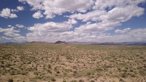 Cactus and Desert Stock Footage 79835578