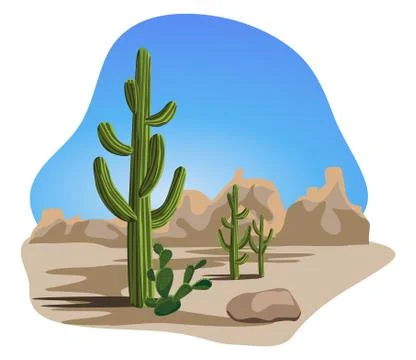 Cactus and Desert イラスト素材