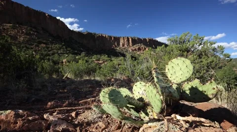 Cactus and flowing clouds, over mountains in the desert. Stock Footage 43259223