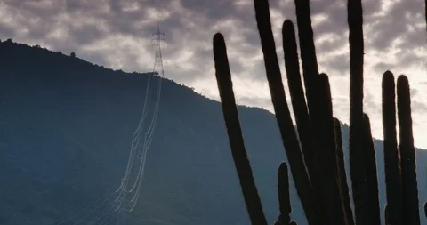Cactus and hydro-electric powerline in Chile. Stock Footage 86878909