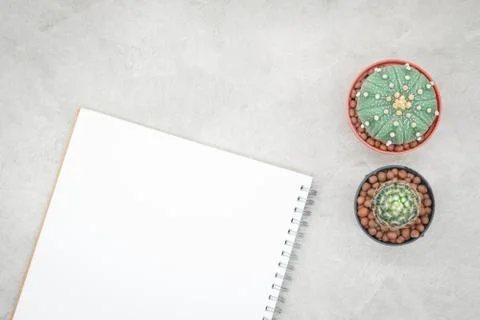 Cactus and notebook on the office table, grey concrete background, flat lay Stock Photos