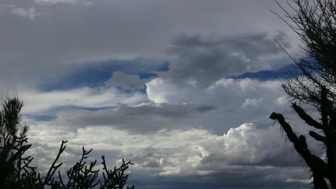 Cactus and sage brush with dramatic clouds Stock Footage 103235395
