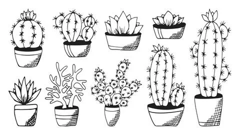 Cactus and succulent handdrawn flat black set Stock Illustration