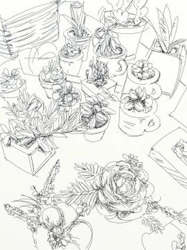 Cactus and succulents Illustrazione stock
