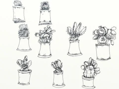 Cactus and succulents Stock Illustration