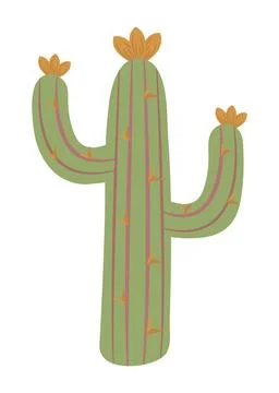 Cactus boho wild west Stock Illustration