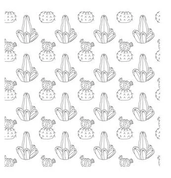 Cactus with branches and cactus with two flowers in doodle style. Simple Illustrazione stock