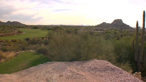 Cactus cacti boulder golf course in Arizona New Mexico California Stock Footage 125278308