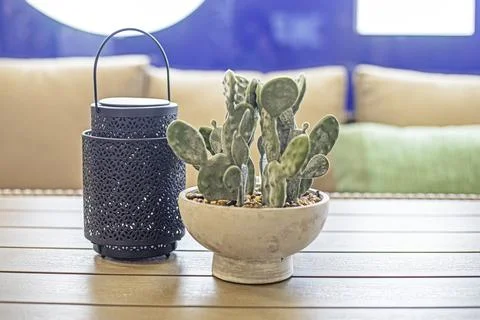 Cactus with a candlestick on the table in the interior Stock Photos