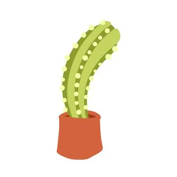 Cactus in cartoon flat style Stock Illustration
