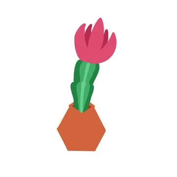 Cactus in cartoon flat style Stock Illustration