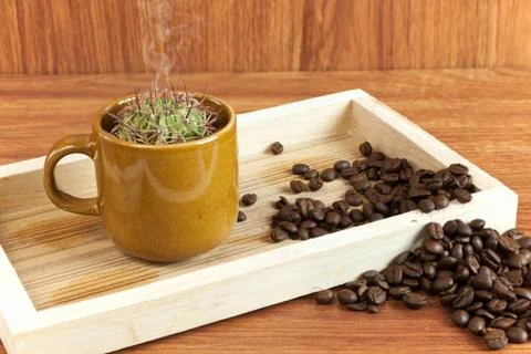 Cactus in coffee cup Stock Photos