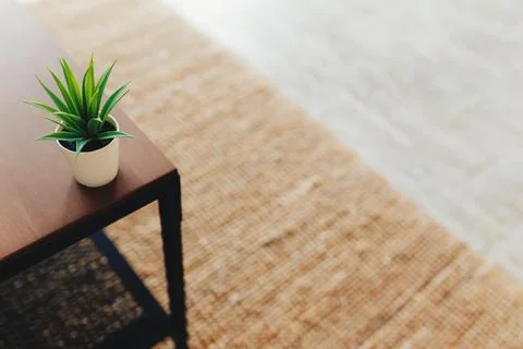 Cactus on the coffee table in interior. Terracotta carpet. Blurred background Stock Photos