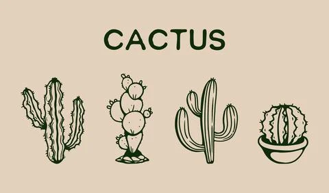 Cactus collection hand drawing Stock Illustration