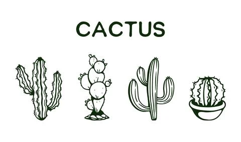 Cactus collection hand drawing Stock Illustration