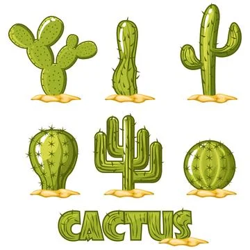 Cactus Collection Vector Stock Illustration