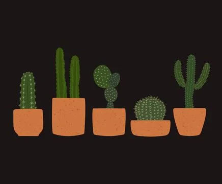 Cactus Collection Vector Illustration Stock Illustration