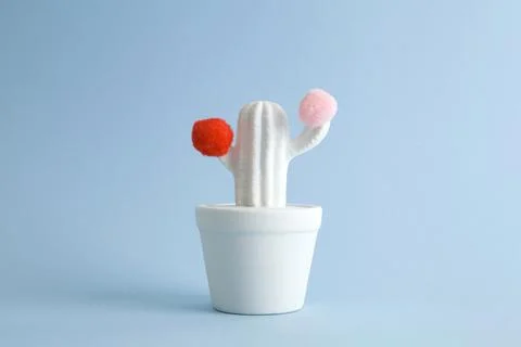 Cactus color Stock Photos