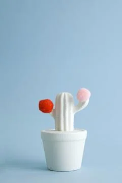 Cactus color Stock Photos