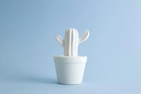 Cactus color Stock Photos