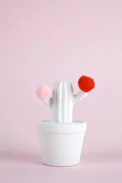 Cactus color Stock Photos