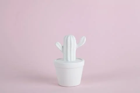 Cactus color Stock Photos