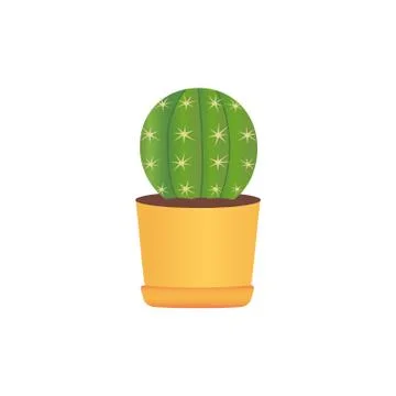Cactus colored vector icon isolated on white background Stock Illustration